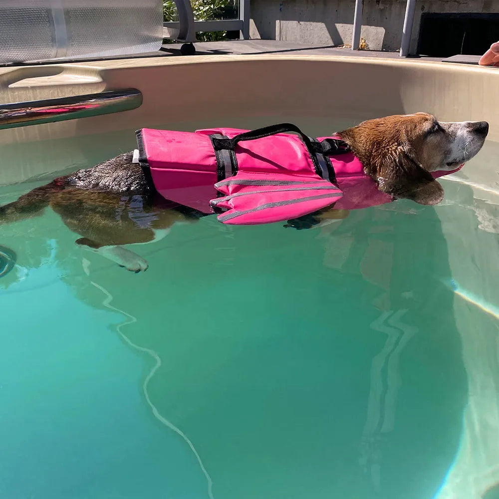 Dog wearing a pink life jacket swimming in a pool.