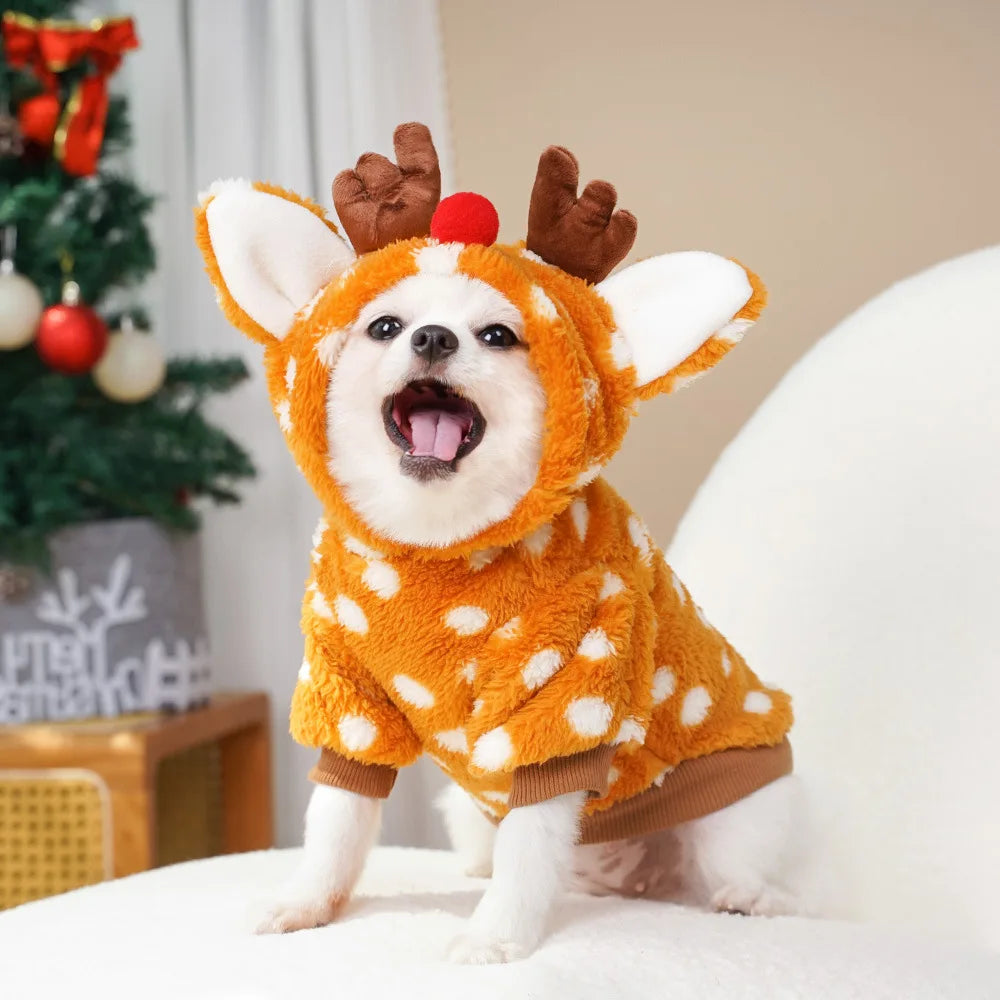 Dog wearing a reindeer costume with a Christmas tree in the background