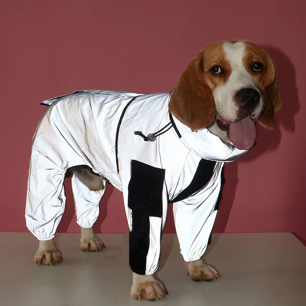 Dog wearing a white and black raincoat against a red background