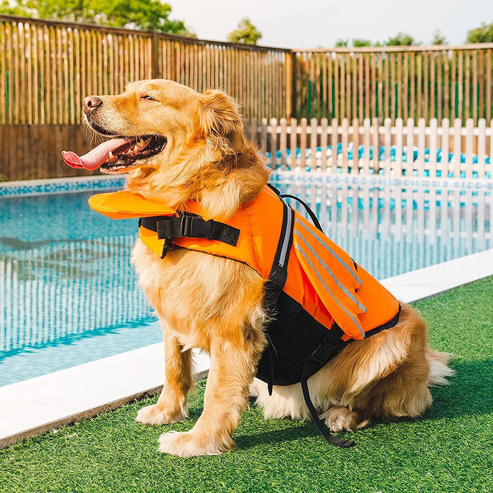 Dog wearing an orange life jacket by a pool