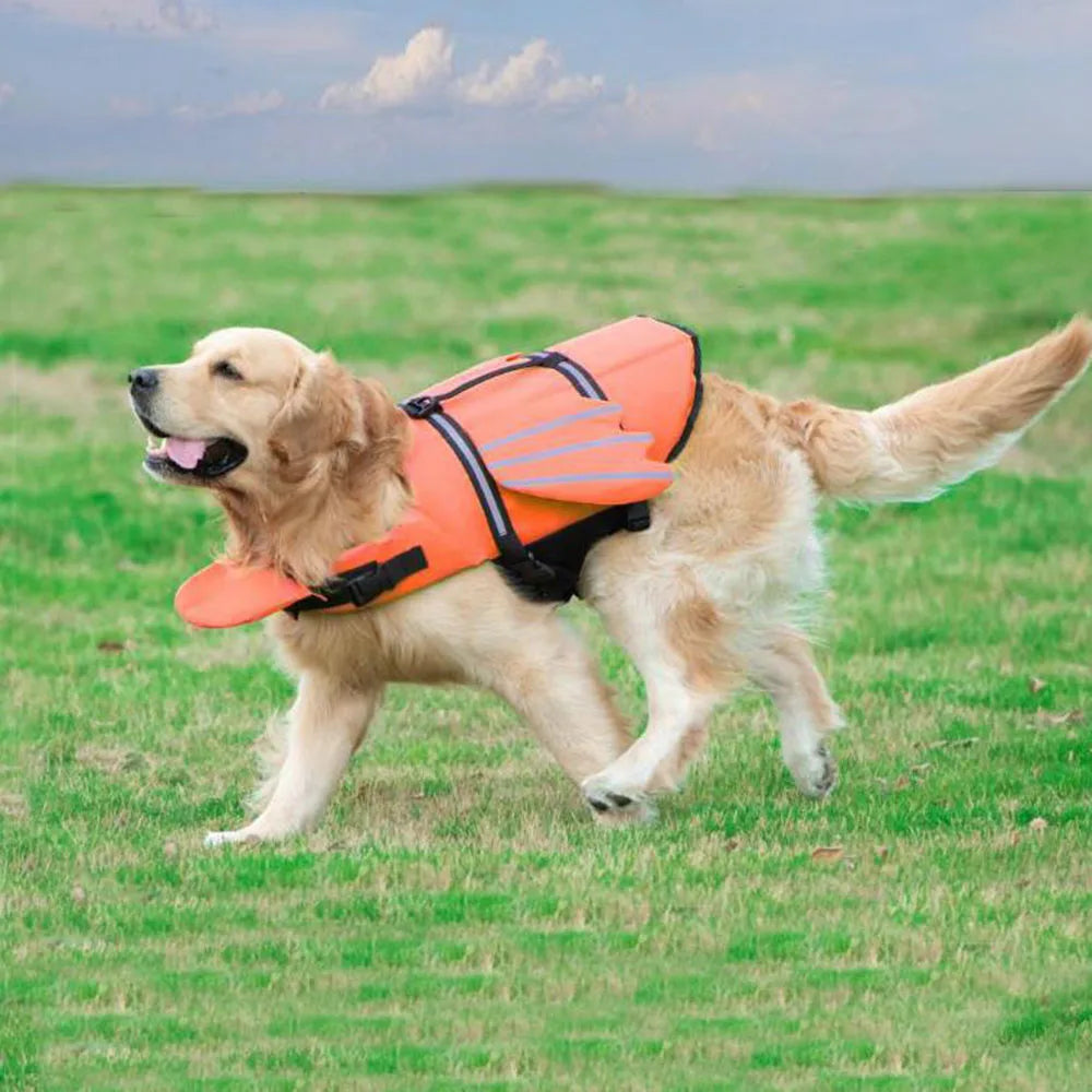 Dog wearing an orange life jacket on a grassy field