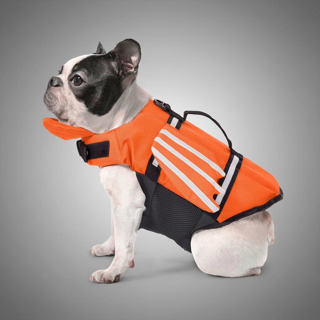 Dog wearing an orange life jacket with white stripes 