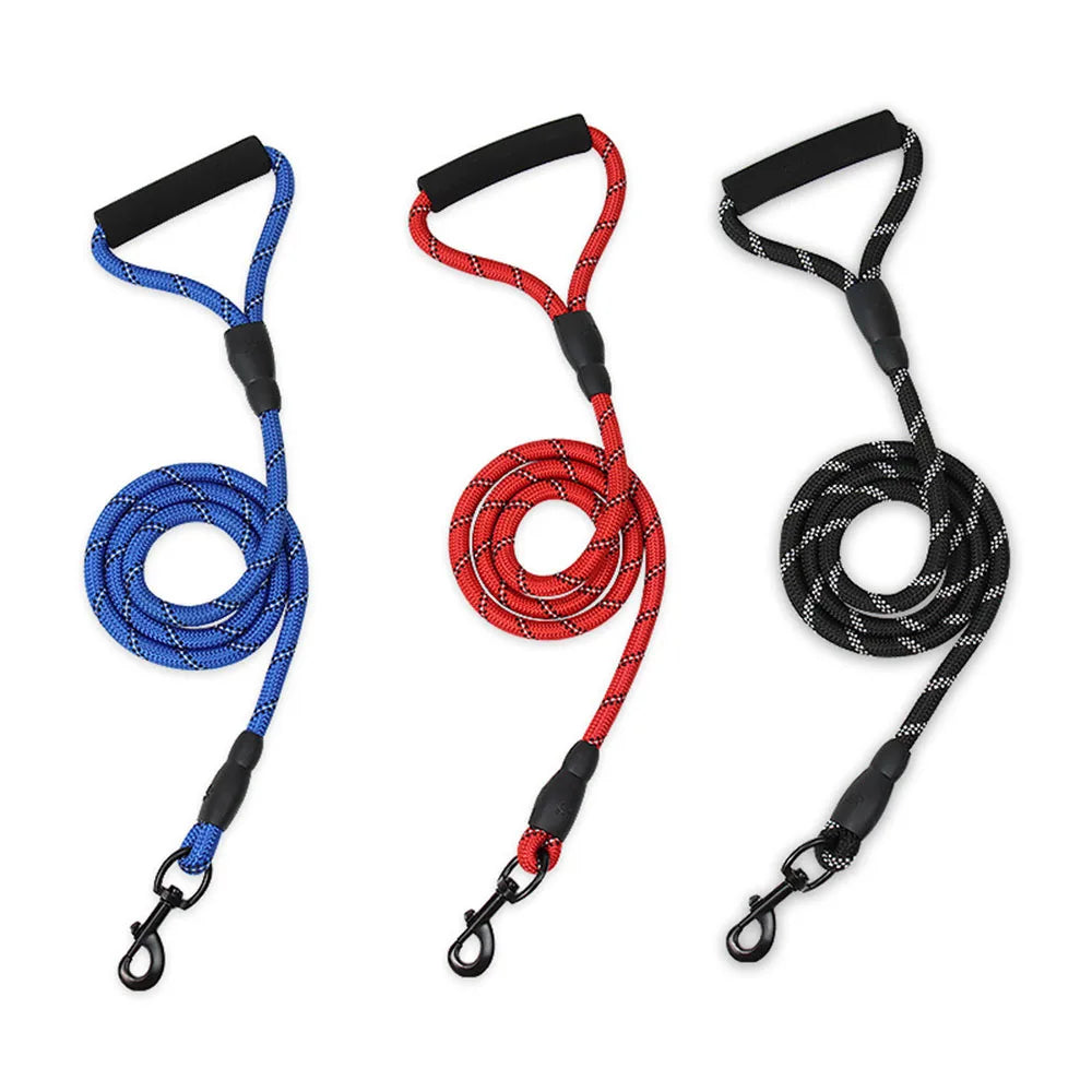 Dogs leashes in blue, black and red
