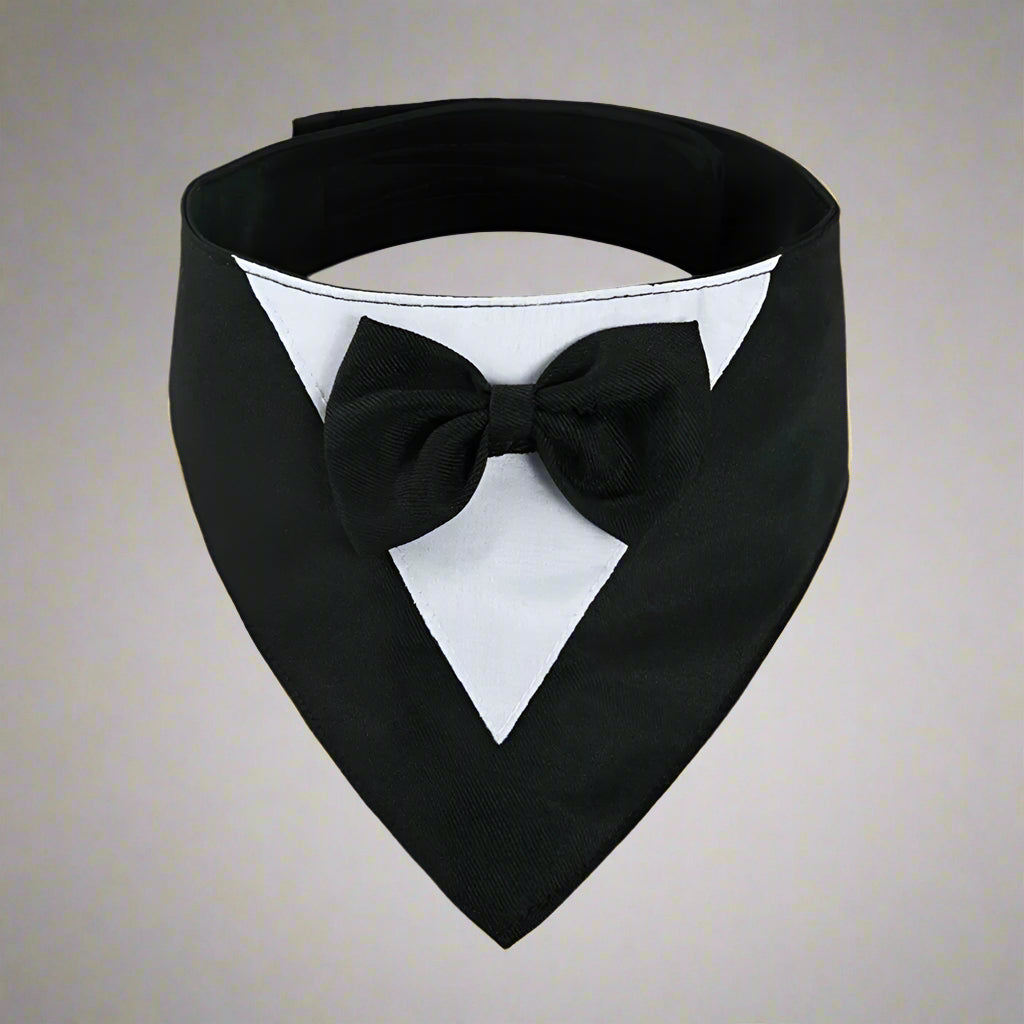 Formal Dog Bow Tie Collar for Weddings & Parties black