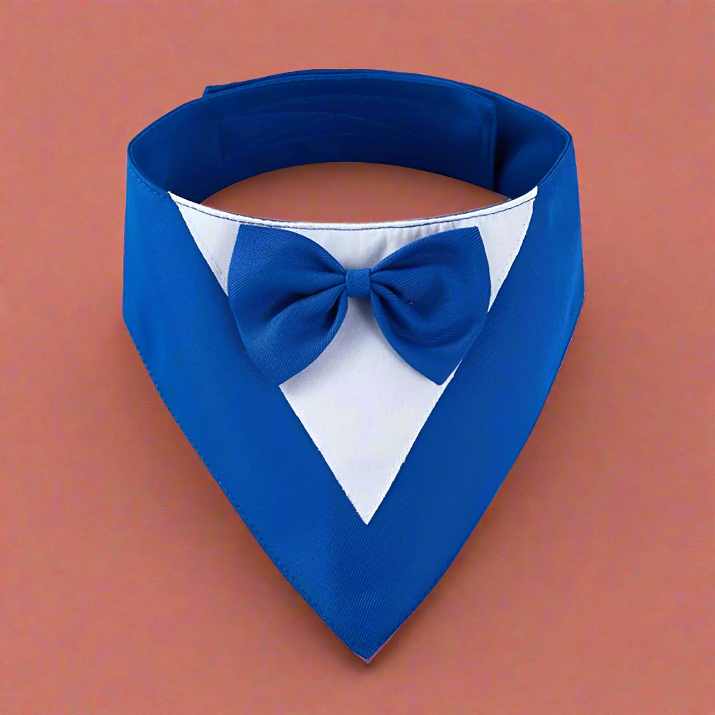 Formal Dog Bow Tie Collar for Weddings & Parties blue