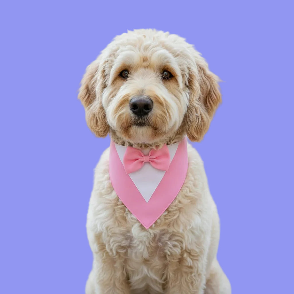 Formal Dog Bow Tie Collar for Weddings & Parties pink