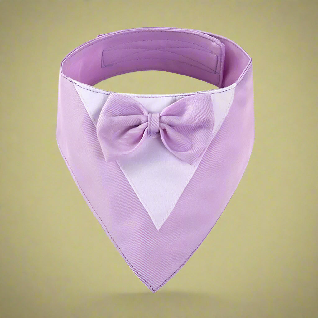 Formal Dog Bow Tie Collar for Weddings & Parties purple
