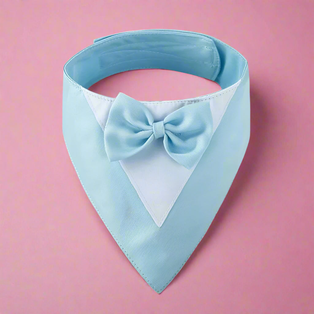 Formal Dog Bow Tie Collar for Weddings & Parties purple blue