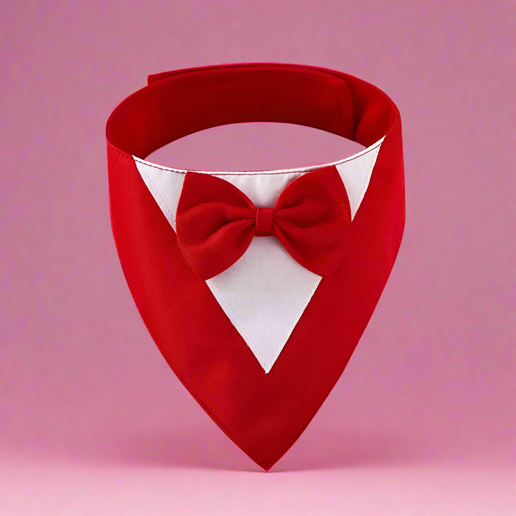 Formal Dog Bow Tie Collar for Weddings & Parties purple red