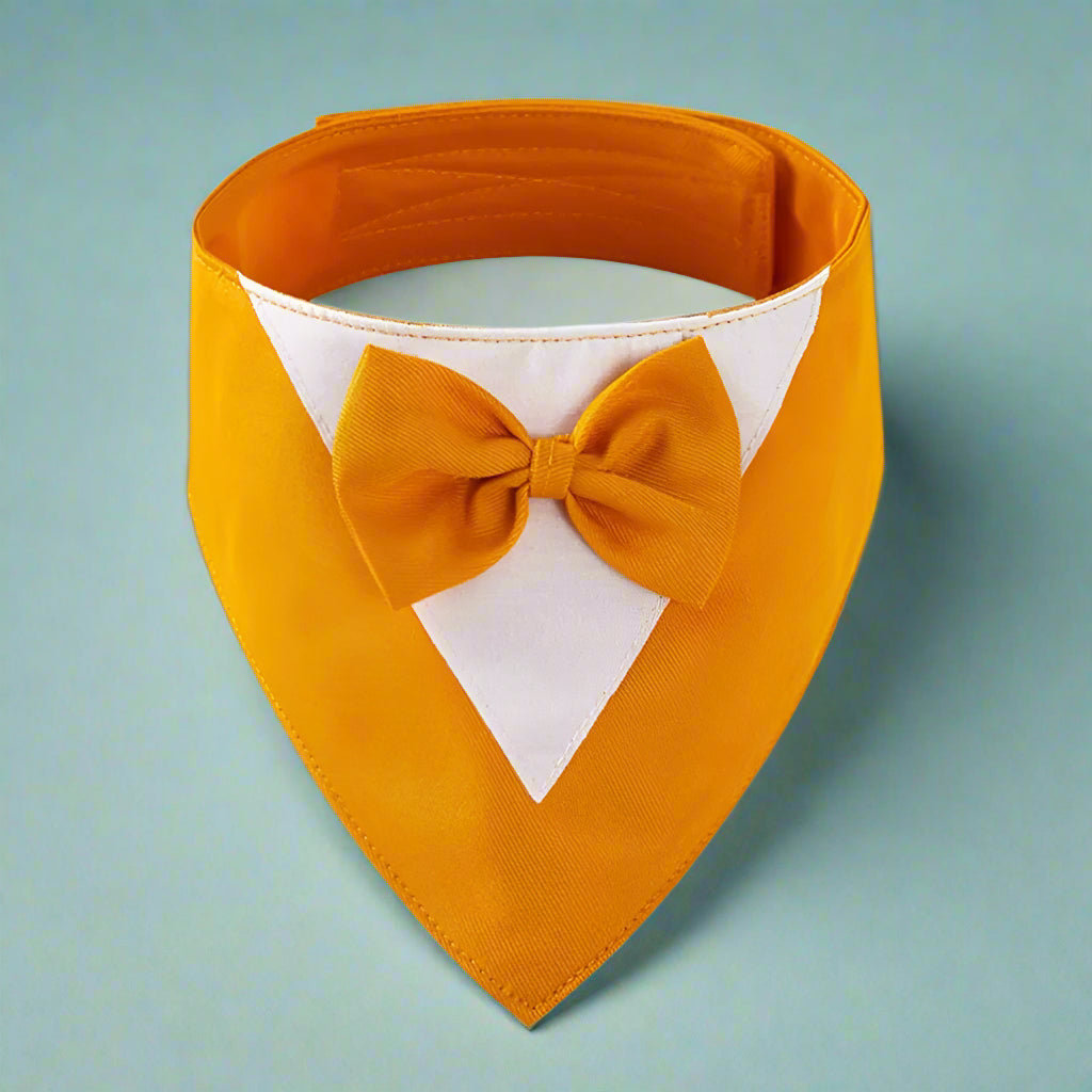 Formal Dog Bow Tie Collar for Weddings & Parties yellow