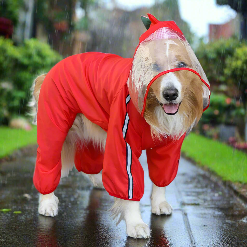 Full Raincoat for dogs in Red