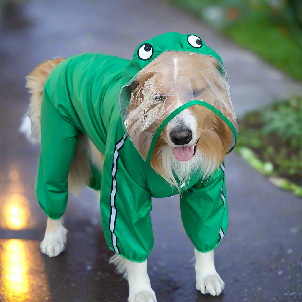 Green color dog raincoat