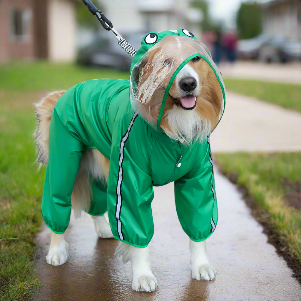 Green color dog raincoat frog style