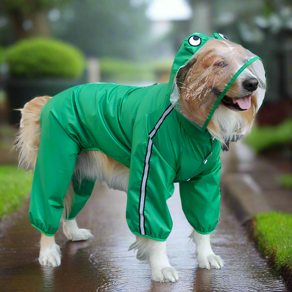 Green frog style raincoat for dog