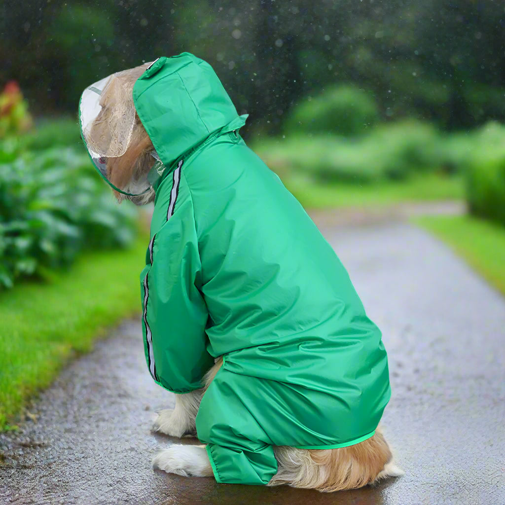 Green frog style raincoat for dogs