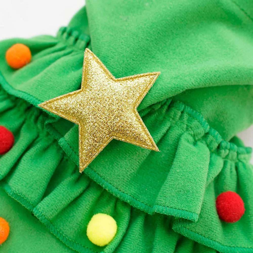 Green pet dog garment with gold star, red and orange accents 
