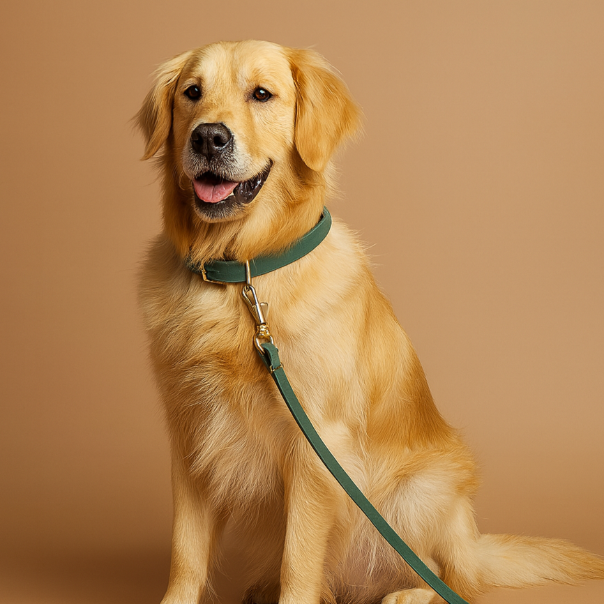 Handmade Leather Leash for Small Pets - Green