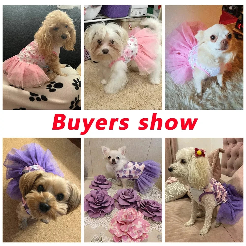 Lace Chiffon Floral Pet Dress 