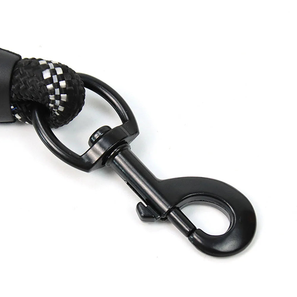 Leash in black for dog