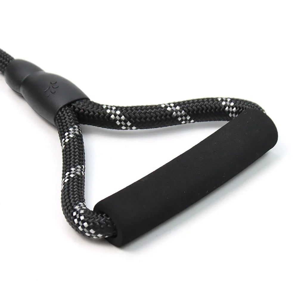 Leash in black for dogs