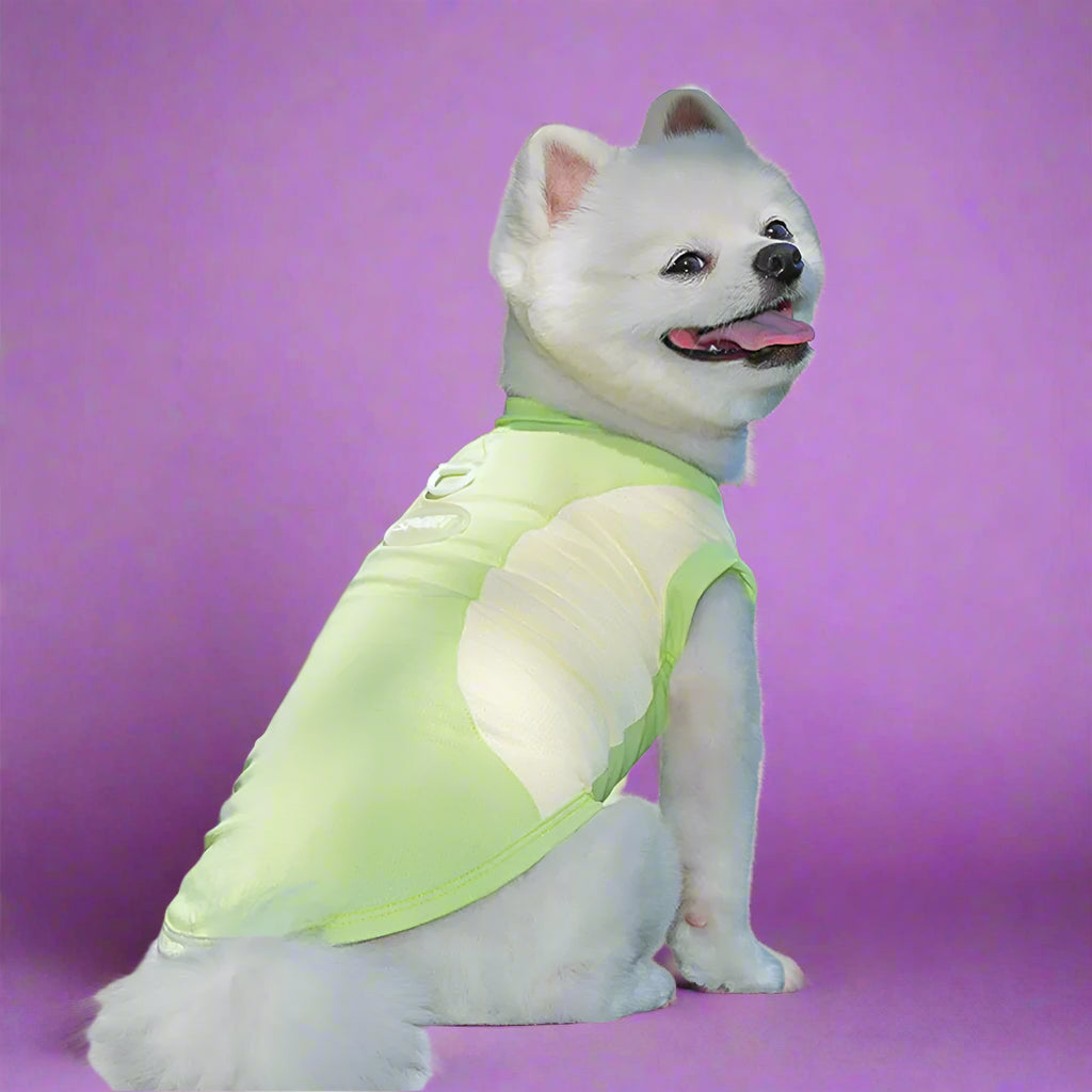 Lime Green Cat Pet Vest Back