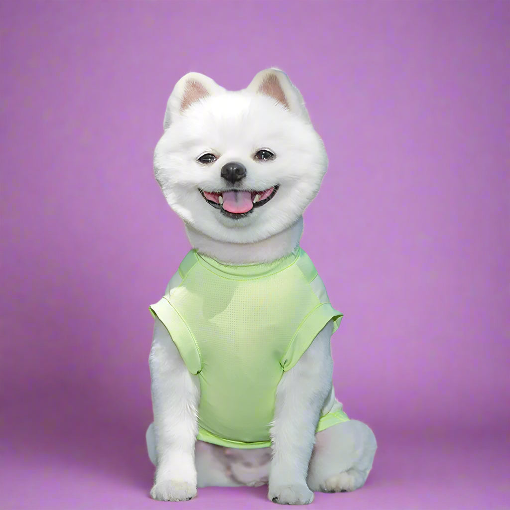 Lime Green Pet Vest Front