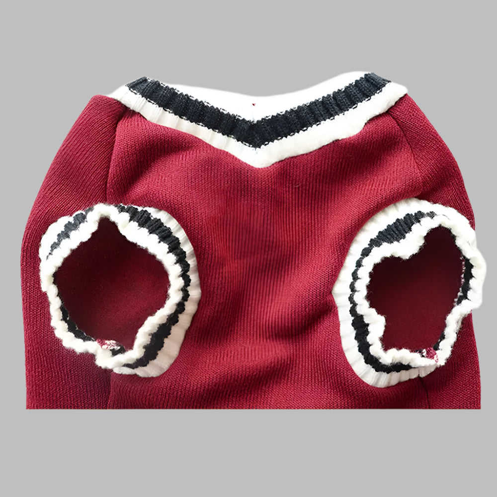 Maroon Pet Winter Sweater