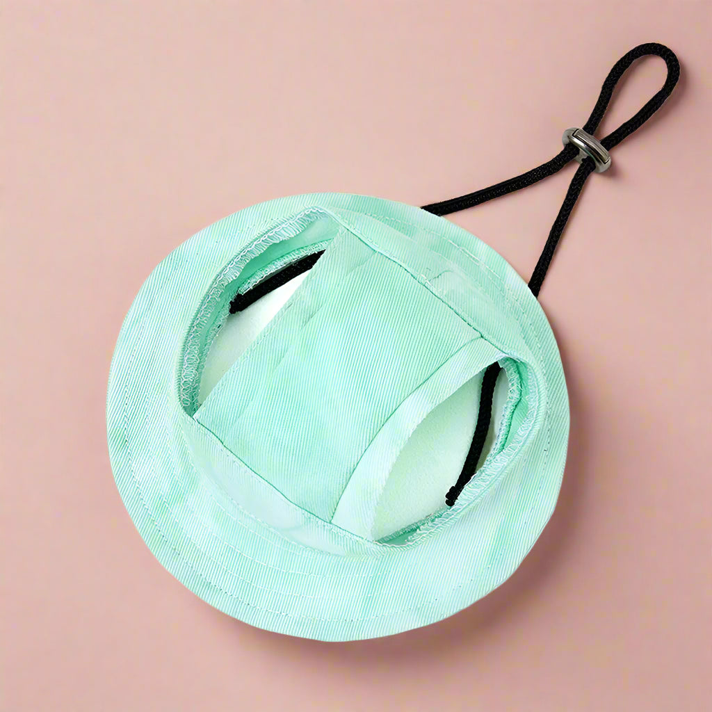 Mint green cat hat with a black string on a white background