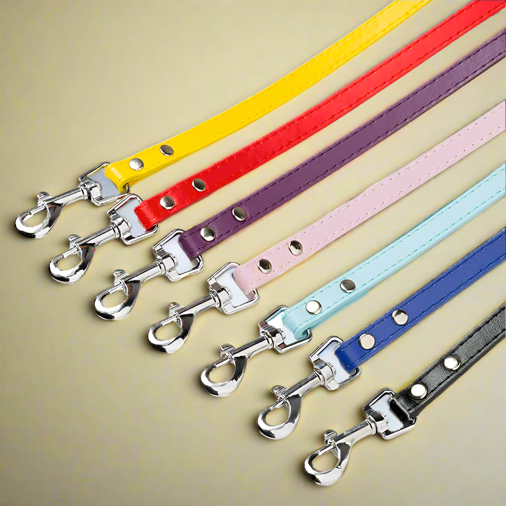 Multicolor Leather Pet Leash 
