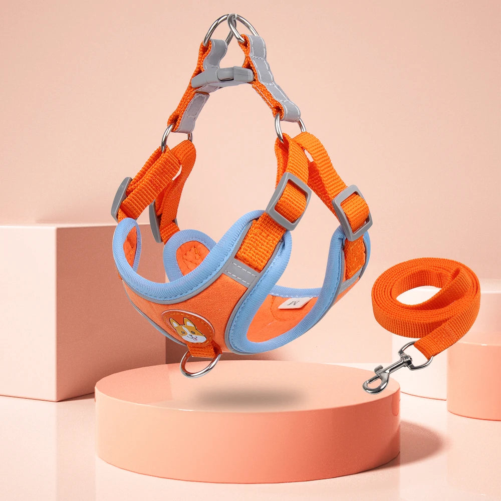 Orange dog harness and leash set