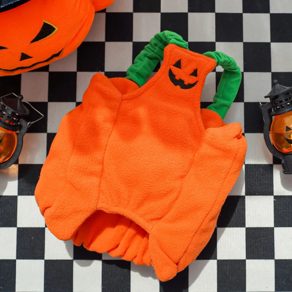 Orange pumpkin-shaped pet outfit with green stem on a black and white checkered background