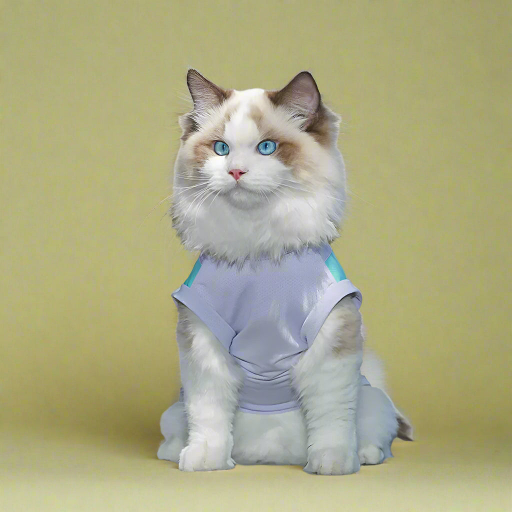 Pet Vest Purple Front