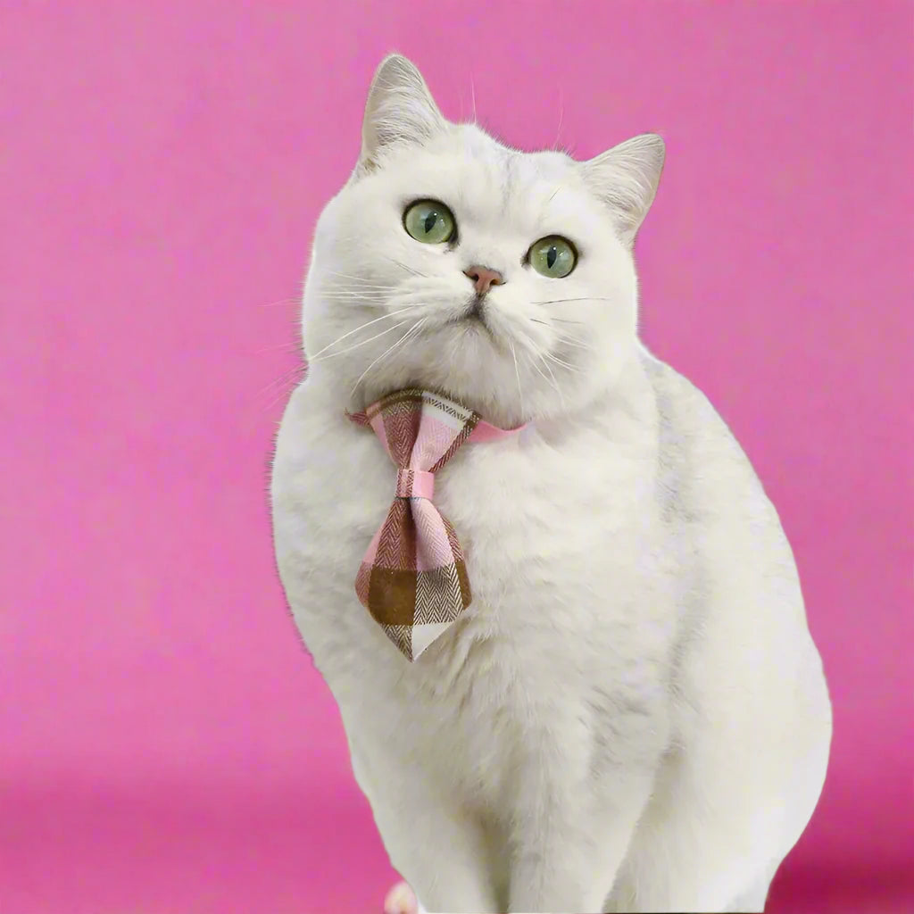 Pink Formal Tie for Pets