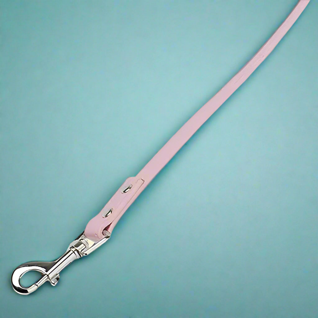 Pink leash for pet dogs walking 