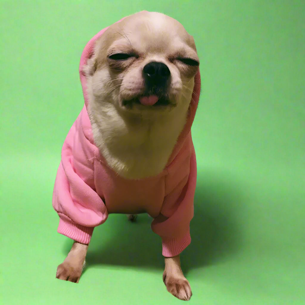 Pink sweater for small pet dogs