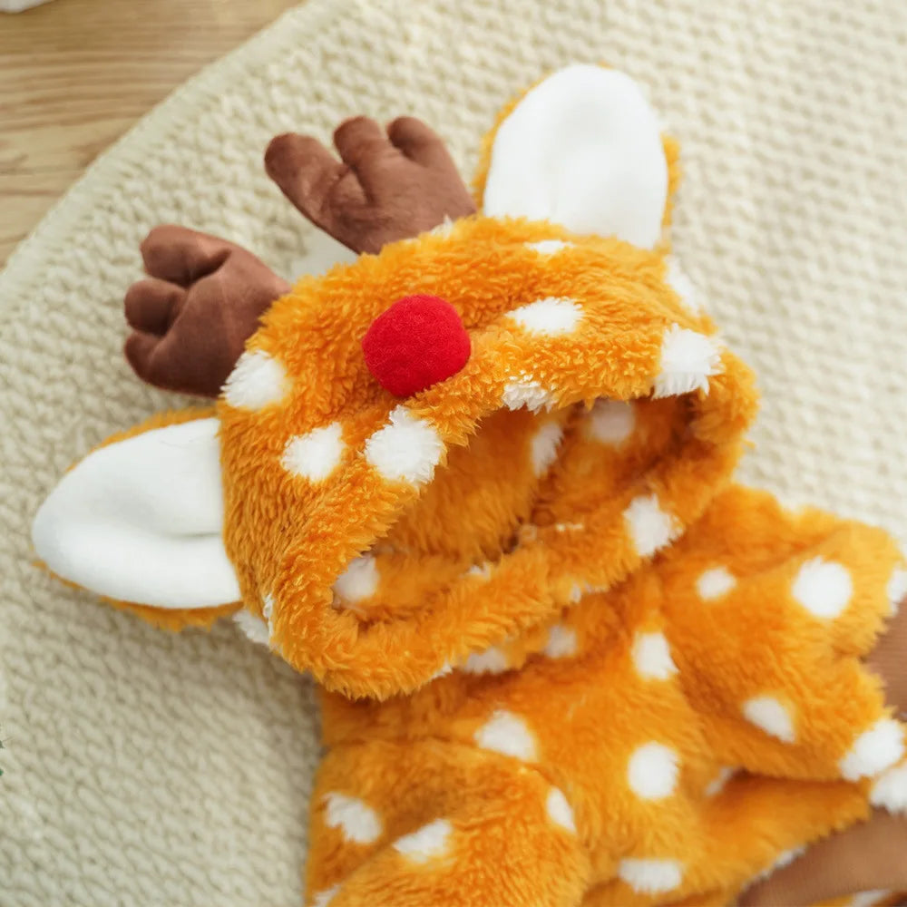 Plush fleece outfit for dog with orange fur, white spots, and a red nose