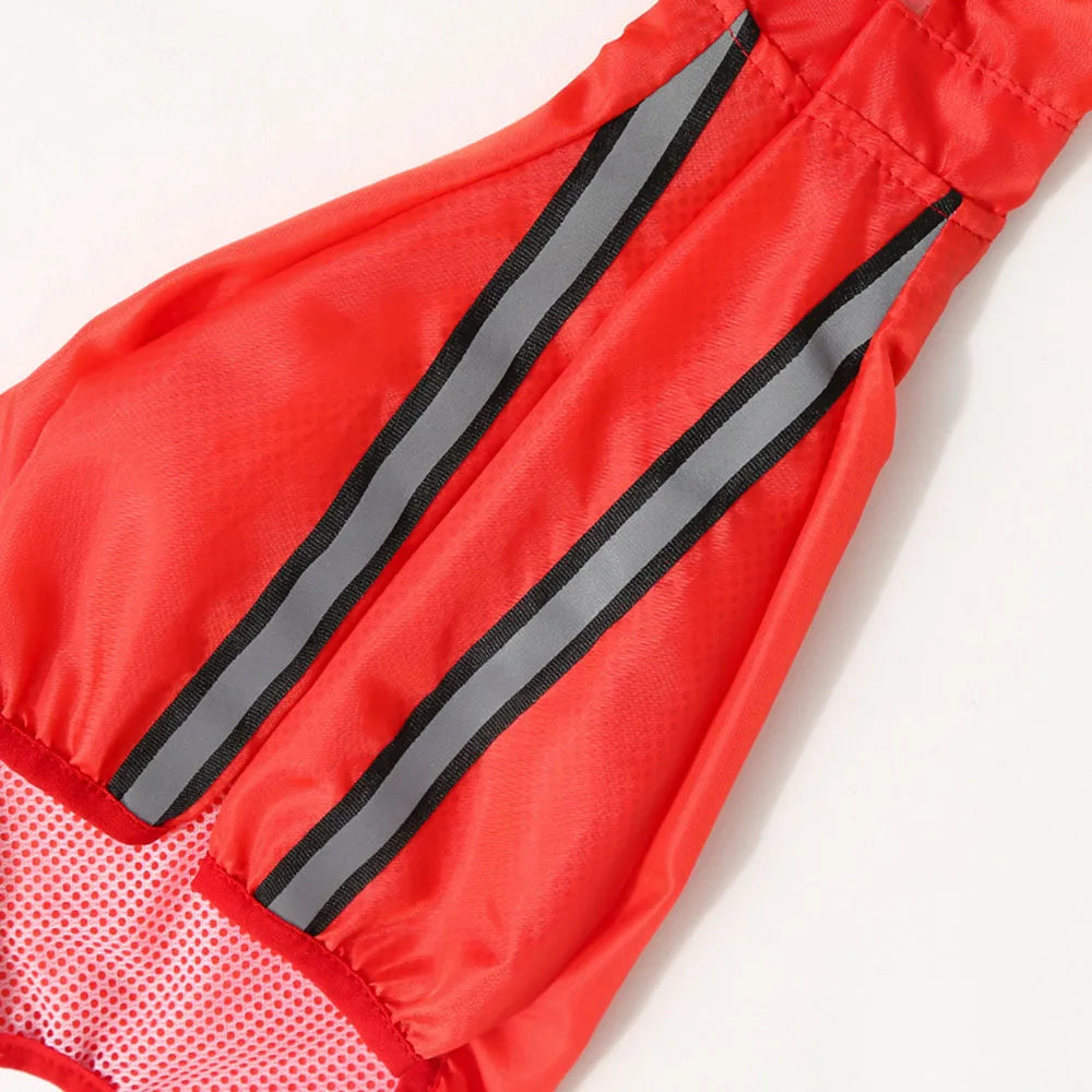 Raincoat for dog Red