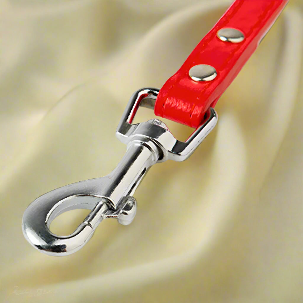 Red Leather Dog Leash