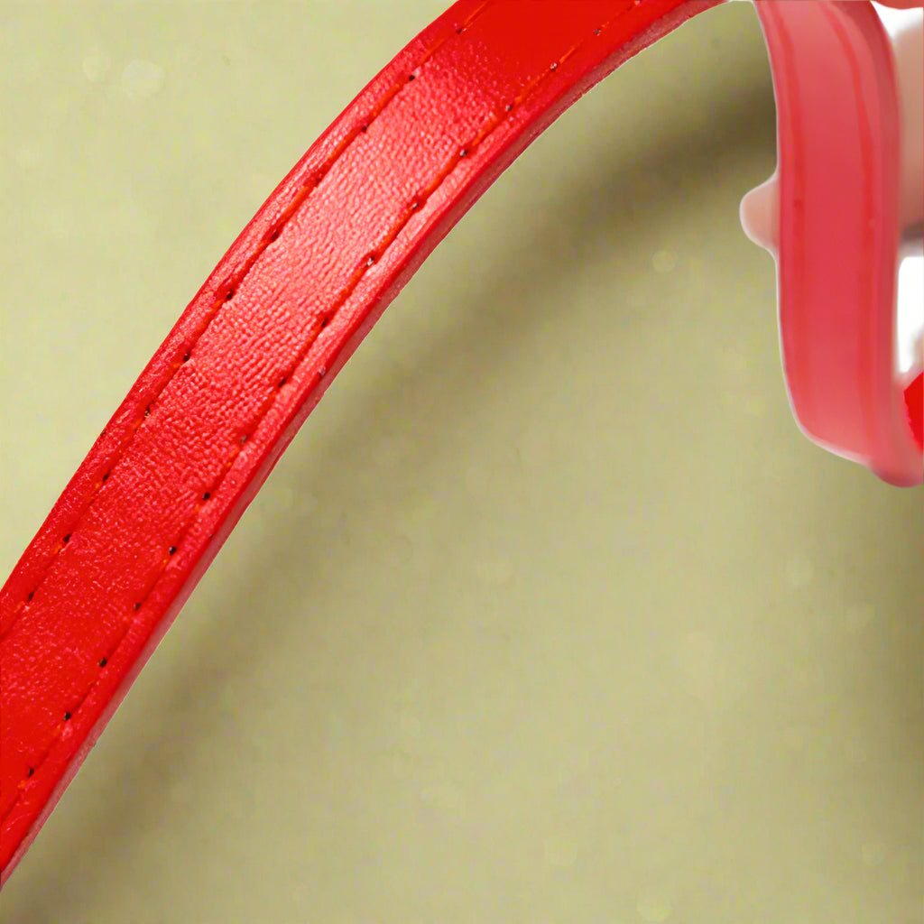 Red Leather Pet Leash 