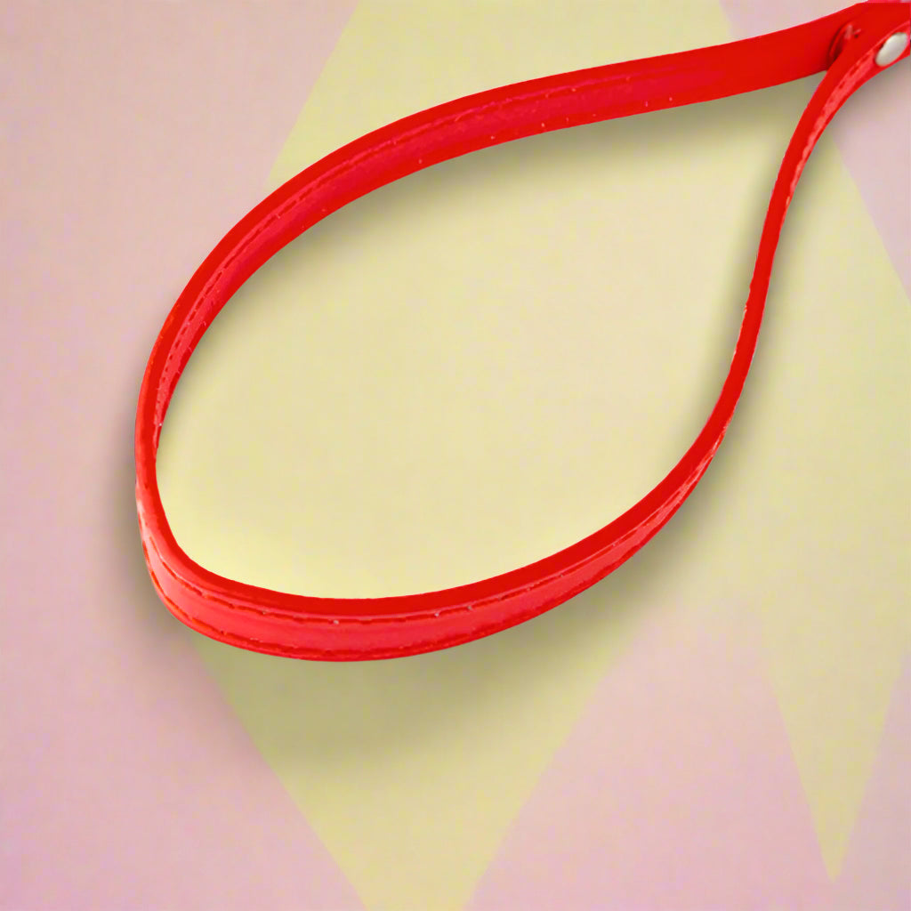 Red color leash for dogs