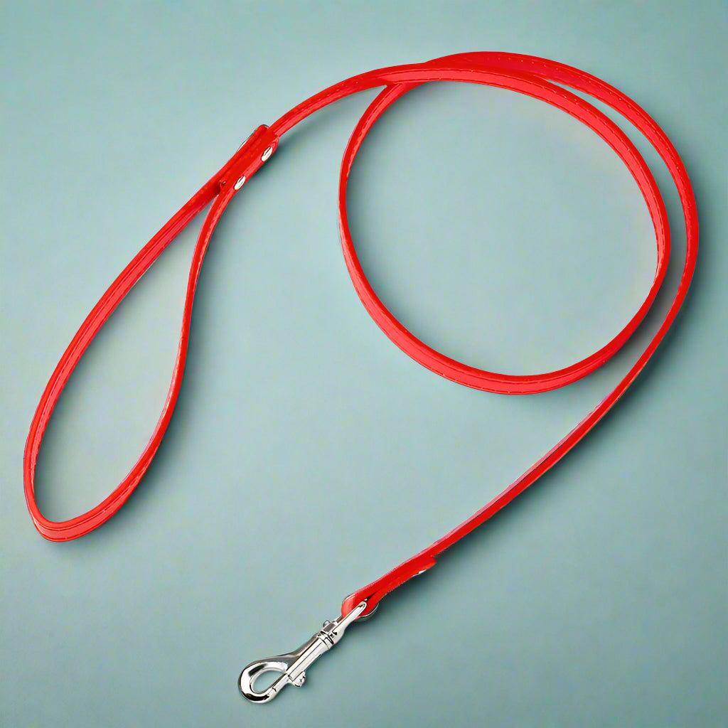 Red leash for Dogs 
