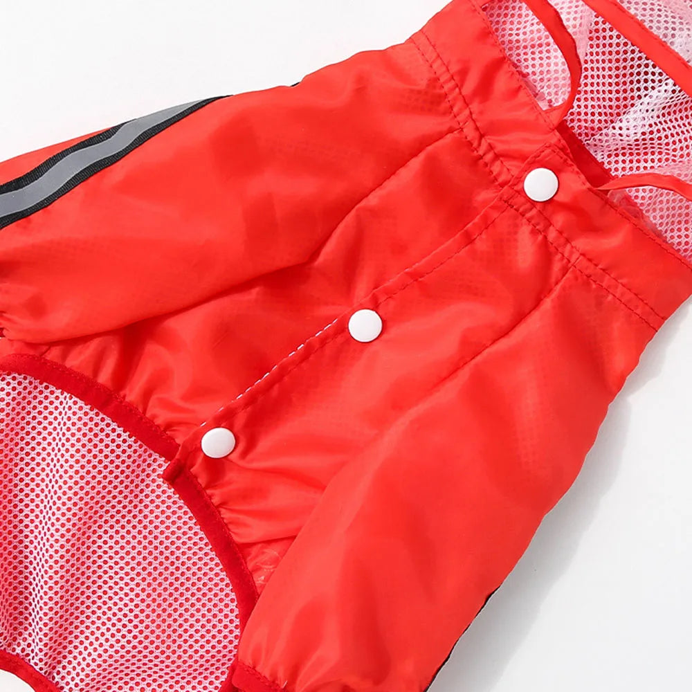 Red raincoat for dogs