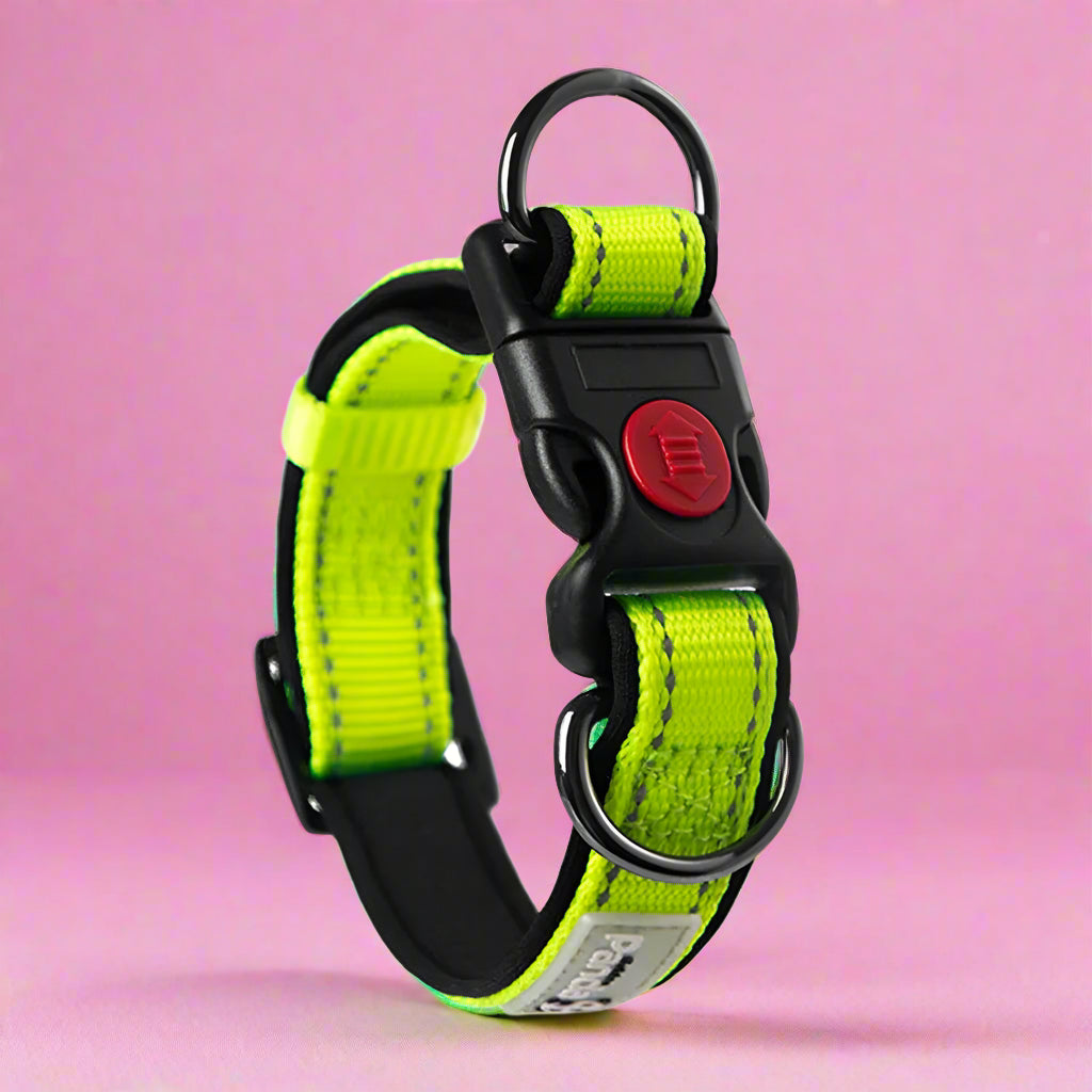 Reflective Soft Padded Nylon Dog Collar green