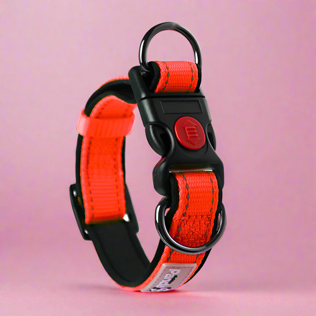 Reflective Soft Padded Nylon Dog Collar red