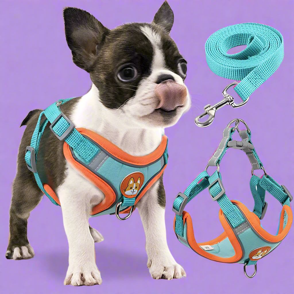 Reflective Step-In Dog Harness & Leash Set