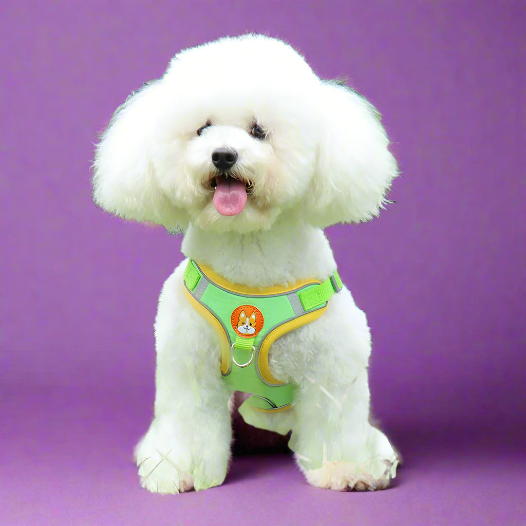Reflective Step-In Dog Harness & Leash Set green