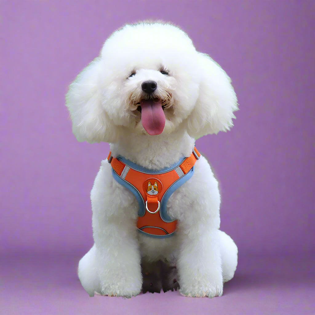 Reflective Step-In Dog Harness & Leash Set orange