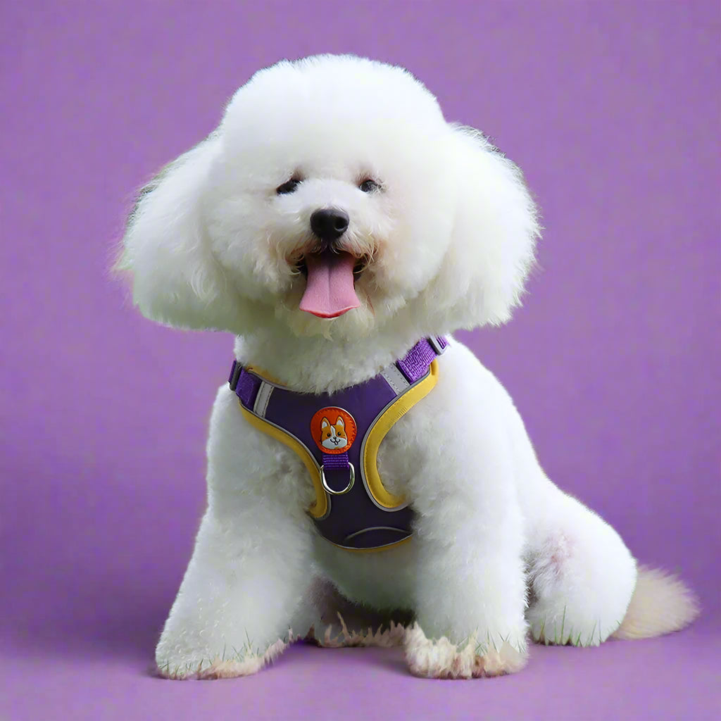 Reflective Step-In Dog Harness & Leash Set purple