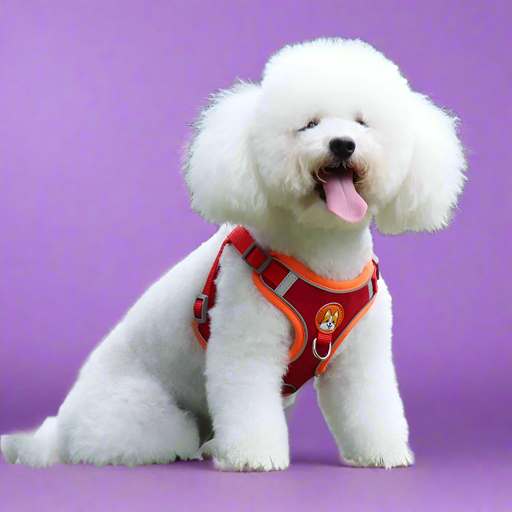 Reflective Step-In Dog Harness & Leash Set red