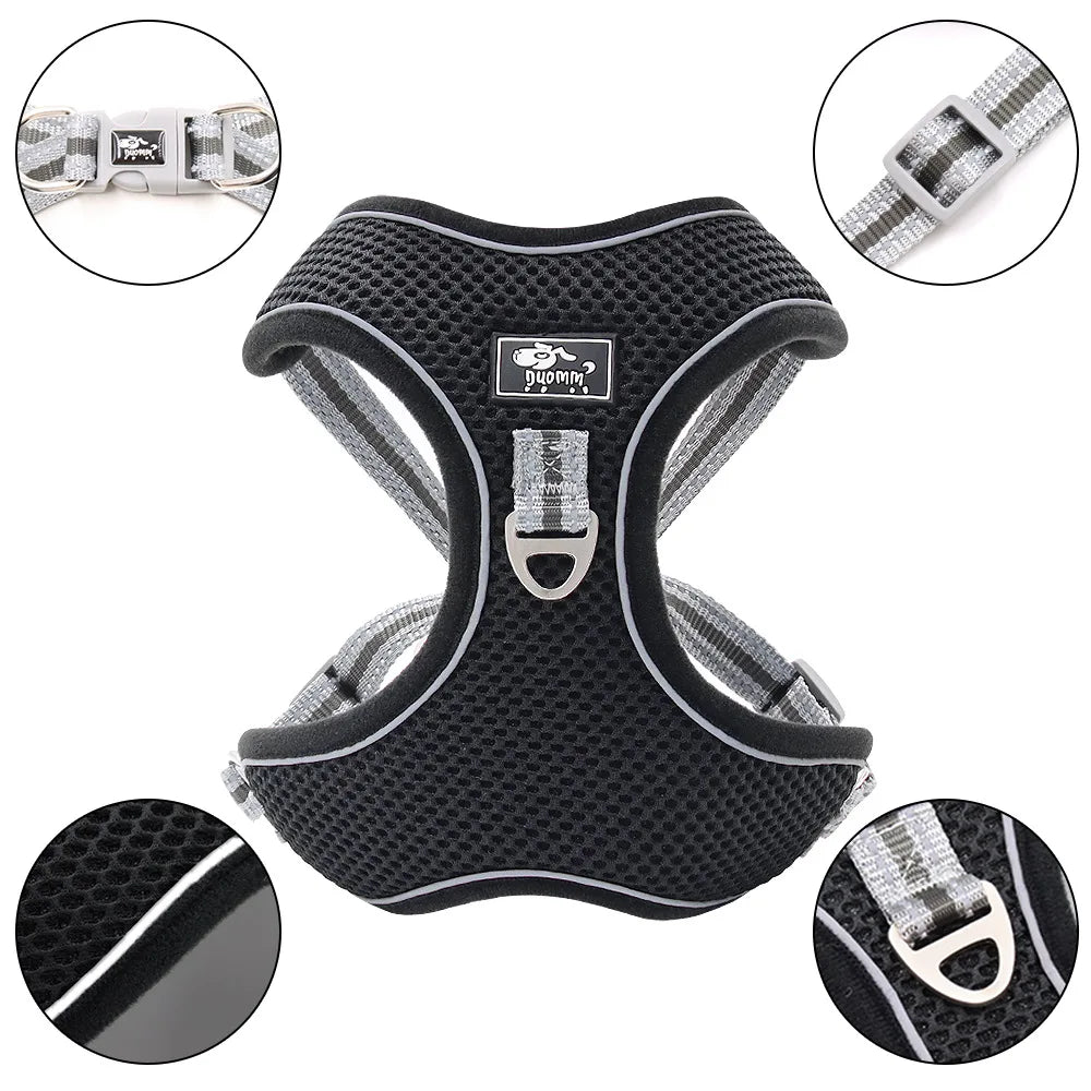Reflective dog harness in black with leash